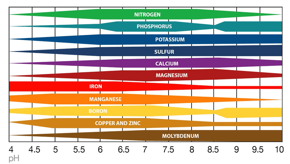 How to Properly pH your Autoflowers