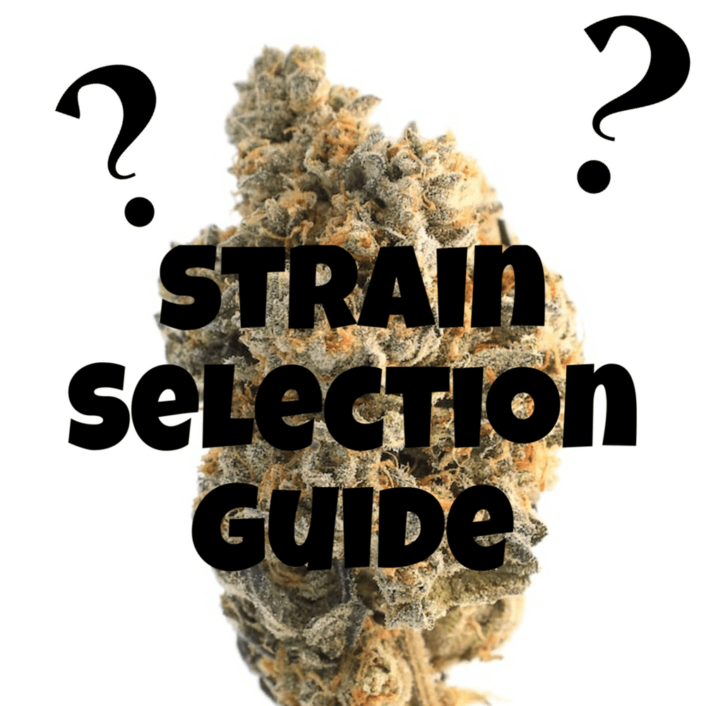 Strain Selection Guide