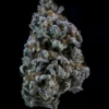Double Grape 3