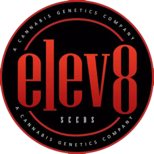 Elev8 Seeds