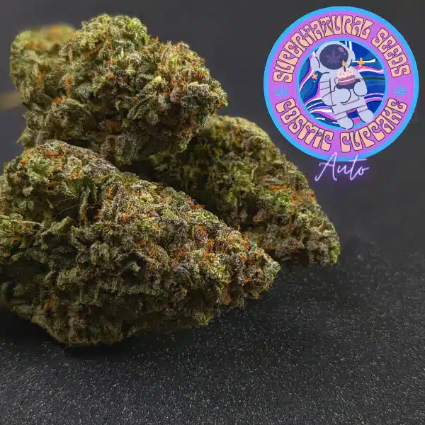 Supernatural Seeds Cosmic Cupcake Strain Fem Auto