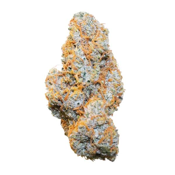 Royal Queen Seeds Apple Fritter Strain Auto Fem