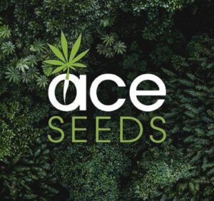 Ace Seeds