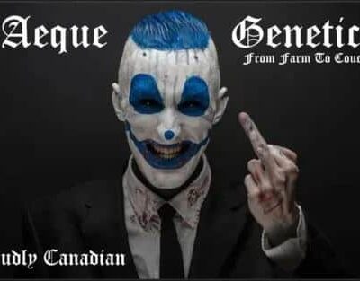 image of Aeque Genetics logo