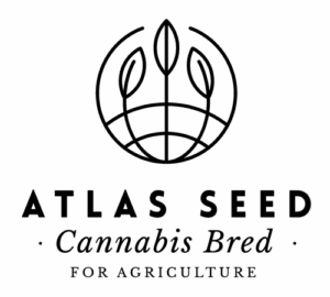 Atlas Seed