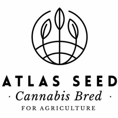 Atlas Seed