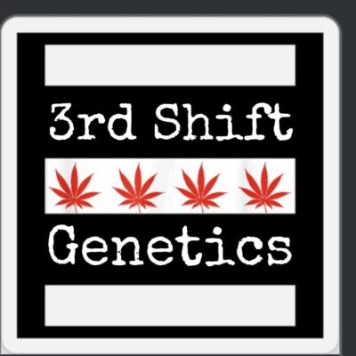 3rd Shift Genetics Seeds