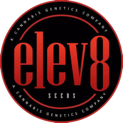 Elev8 Seeds