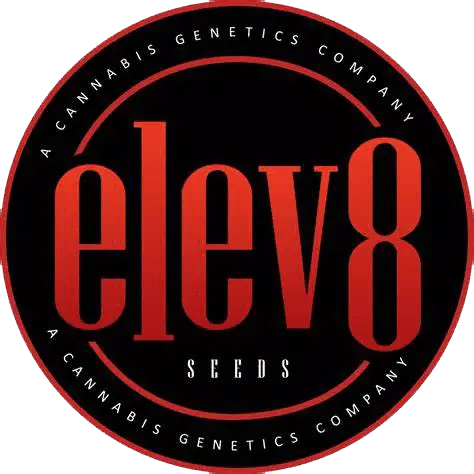 Cherry Sudz | Elev8 Seeds | FEM Photoperiod Seeds