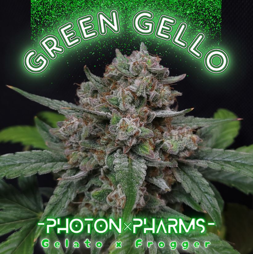 Photon Pharms Green Gello Strain Fem Photo 3 Pack