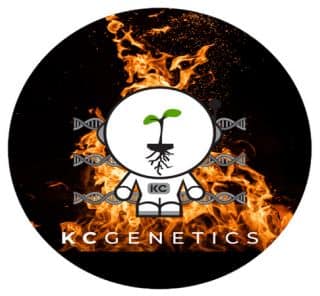 KC Genetics