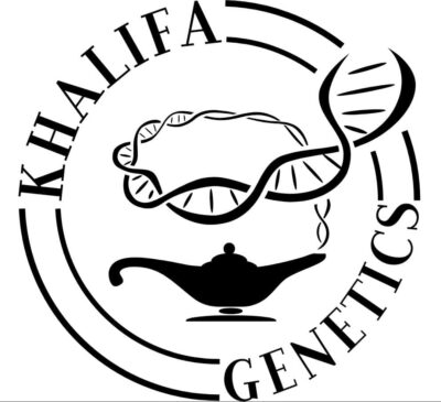 Khalifa Genetics