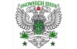 Snowhigh