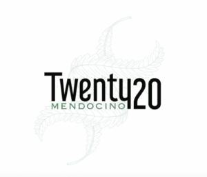 Twenty20