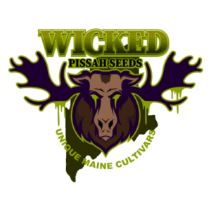 Wicked Pissah Seeds