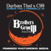 Brothers Grimm Seeds – Durban Thai x C99 Strain – Fem Photo - Image 3