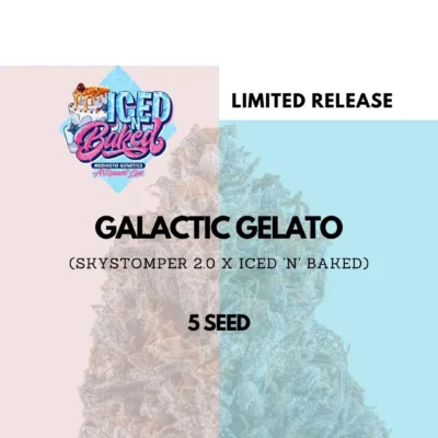 Galactic Gelato OG by Mephisto Genetics limited release