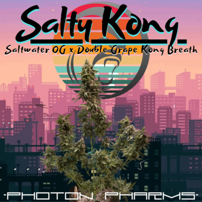 PHOTON PHARMS - SALTY KONG STRAIN - AUTO FEM - 3 PACK