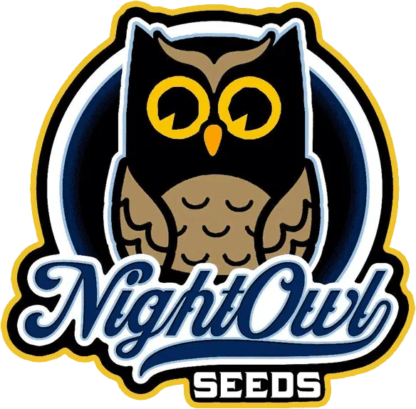 image of Night Owl Seeds on Multiverse Beans website