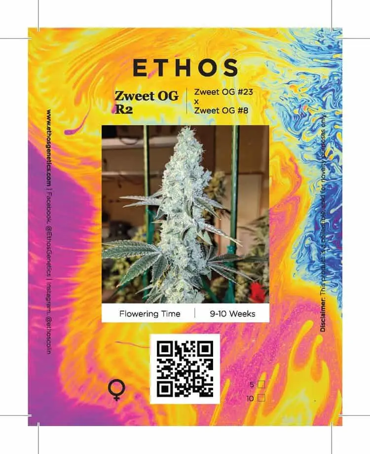 Zweet OG R2 | Ethos Genetics | FEM Photoperiod Seeds