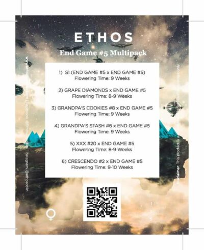 ETHOS - END GAME #5 MULTIPACK - FEM PHOTO