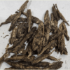 TRIDENT SEEDS - SILIGURI BRAIN LOCK STRAIN - REG PHOTO - Image 2