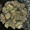 JINXPROOF GENETICS - HASHGOOBERRY F2 STRAIN - REG PHOTO - 12 PACK - Image 8