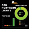 SEED STOCKERS - CBD NORTHERN LIGHTS STRAIN - FEM PHOTO - Image 2