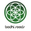 BODHI - SPROUTWAYS - TERPENADO STRAIN - REG PHOTO - 10 PACK - Image 2
