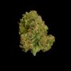 ROYAL QUEEN SEEDS - EPSILON F1 STRAIN - AUTO FEM - Image 3