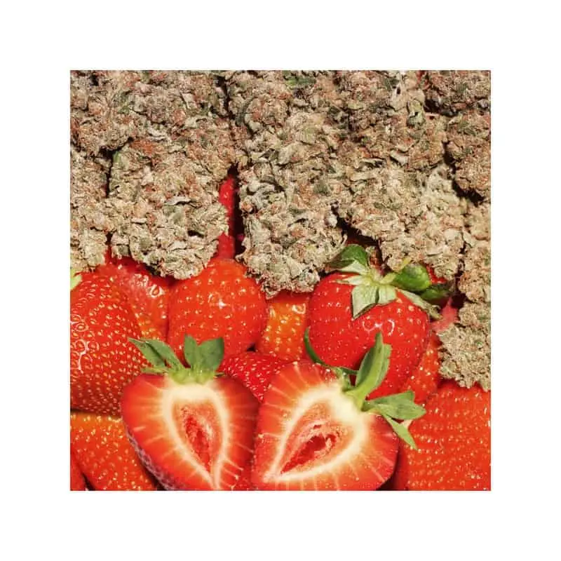 Strawberry Cough