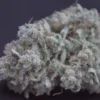 SPEEDRUN SEEDS - FROSTED CHERRY O'S F3 STRAIN - AUTO FEM 3 Pack - Image 2