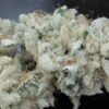 TWENTY20 MENDOCINO - BUBBAWHIP STRAIN - FEM PHOTO - Image 7