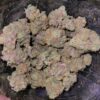 JINXPROOF GENETICS - HELL YEAH STRAIN - REG PHOTO - 12 PACK - Image 6
