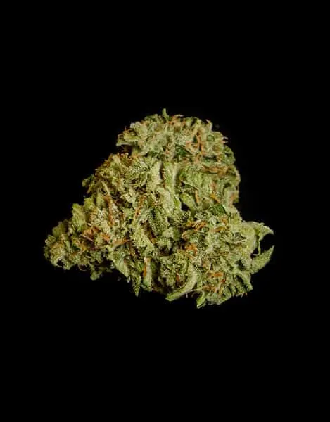 ROYAL QUEEN SEEDS – TITAN F1 STRAIN – AUTO FEM