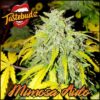 TASTEBUDZ - MIMOSA STRAIN - AUTO FEM - Image 5