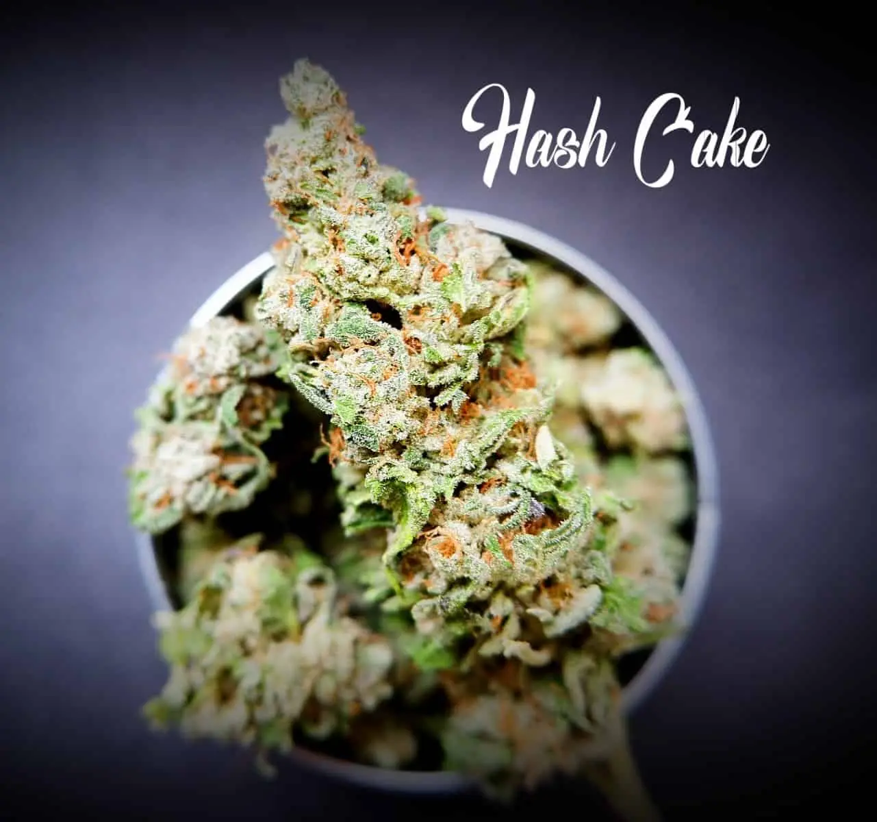 HASH CAKE STRAIN