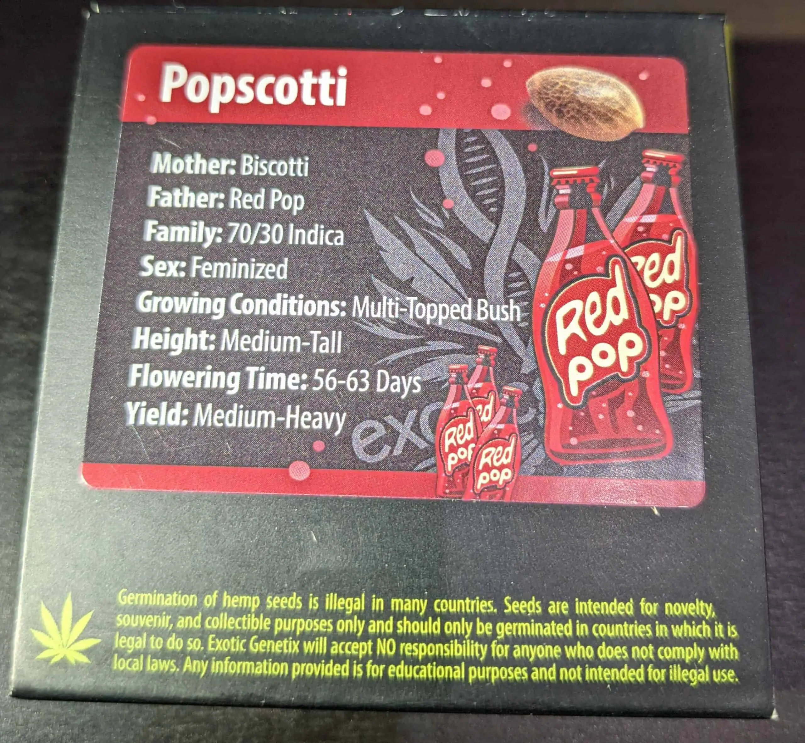 EXOTIC GENETIX - POPSCOTTI (RED POP LINE) STRAIN - FEM PHOTO - 6 PACK