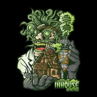 Platinum Jelly | In House Genetics | FEM Photoperiod Seeds