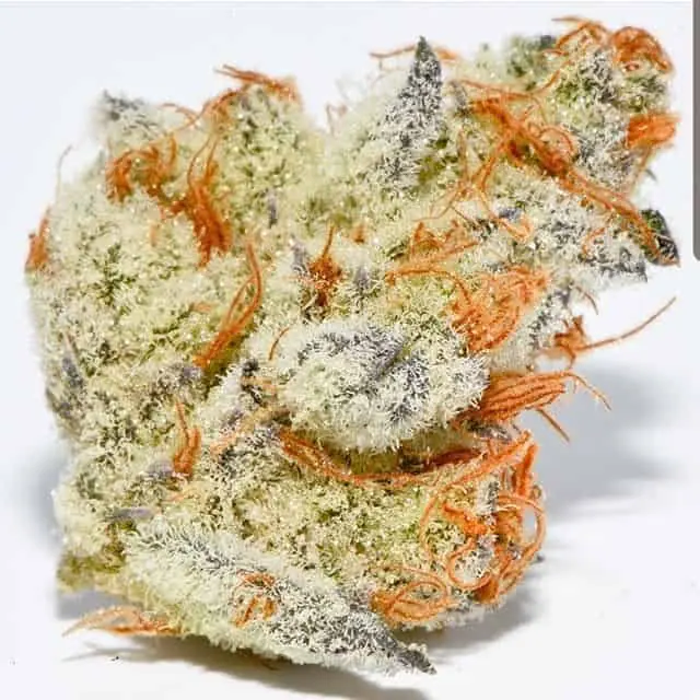 Platinum Kush Breath Remix | In House Genetics | FEM Photoperiod Seeds