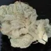 9f8225 Mv2