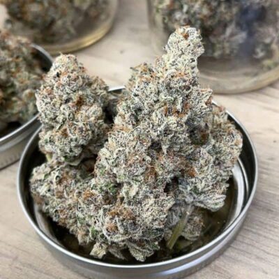 EXOTIC GENETIX - THE BIZ STRAIN - FEM PHOTO - 6 PACK