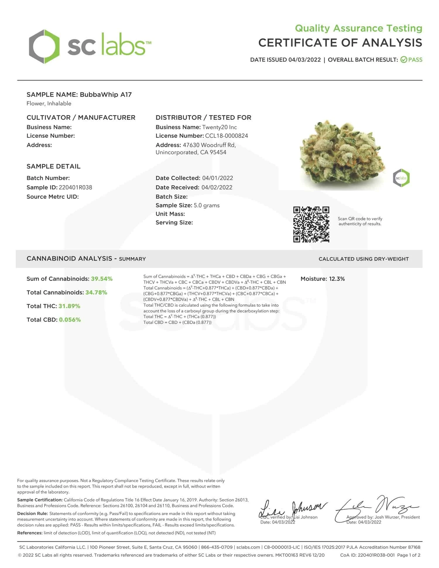 TWENTY20 MENDOCINO – BUBBAWHIP STRAIN – FEM PHOTO