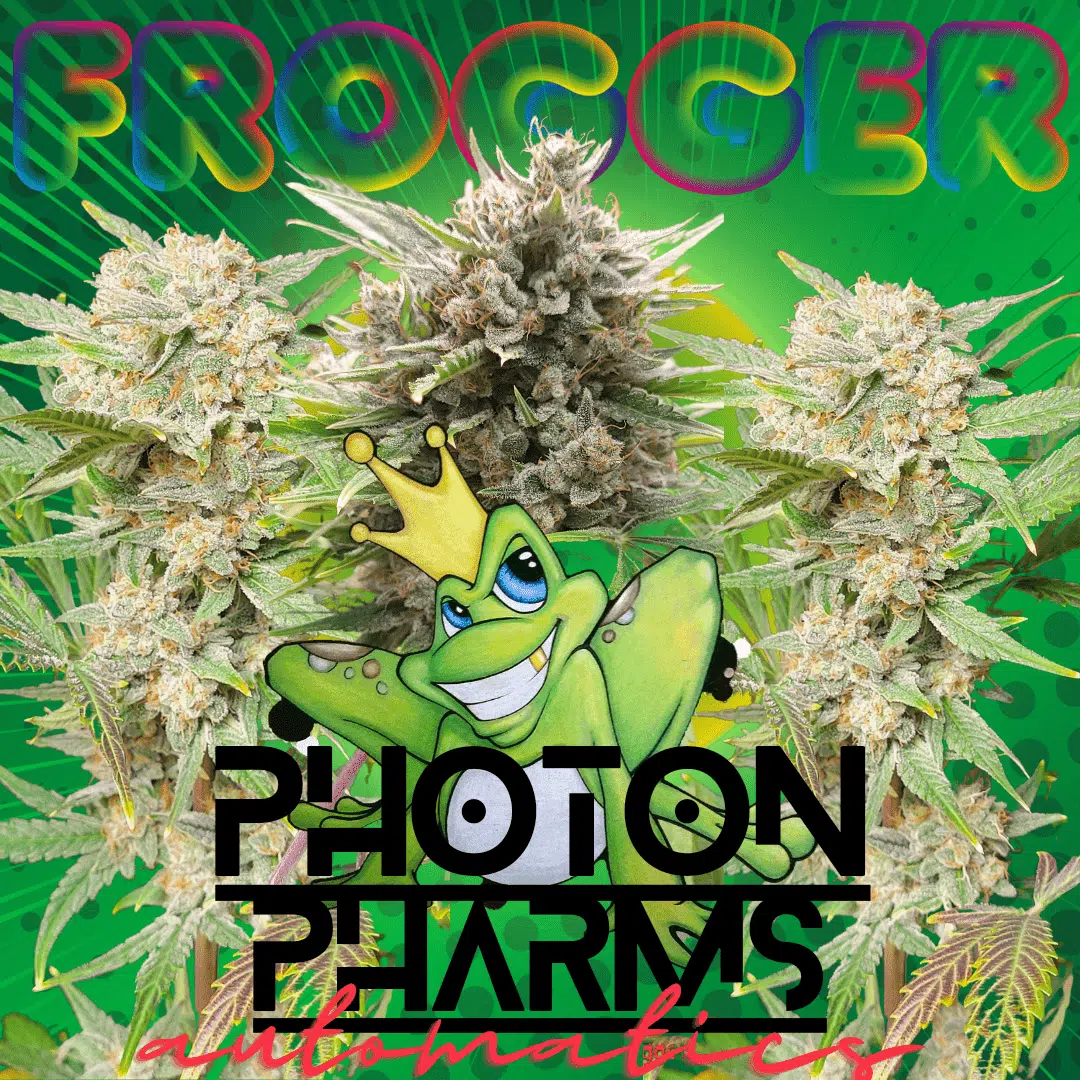 PHOTON PHARMS - FROGGER STRAIN - AUTO FEM