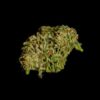 ROYAL QUEEN SEEDS - HYPERION F1 STRAIN - AUTO FEM - Image 3