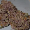 SPEEDRUN SEEDS - POUND DAWG F4 STRAIN - AUTO FEM - Image 2