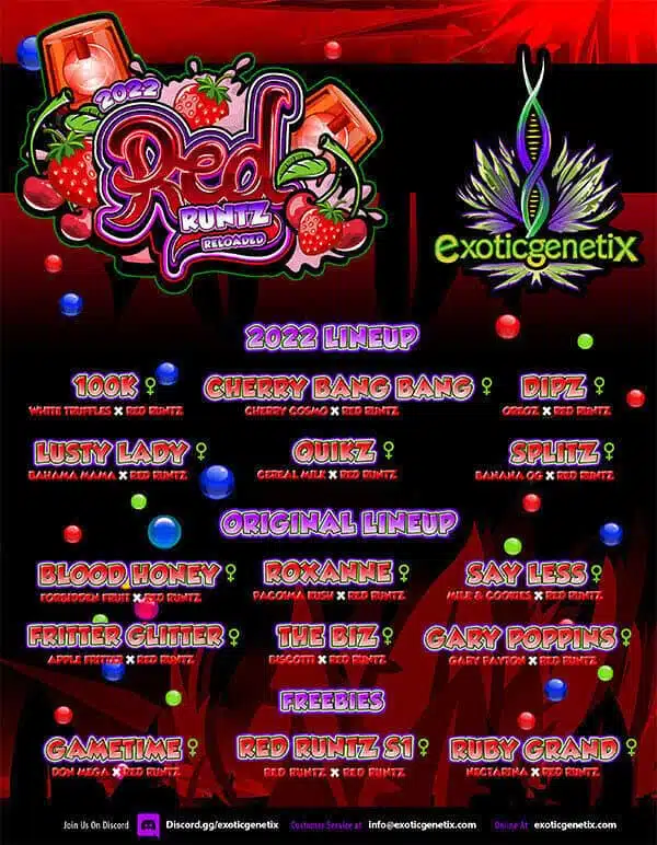 EXOTIC GENETIX – CHERRY BANG BANG STRAIN – FEM PHOTO – 6 PACK