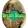 DREAM BEANS - BLUEBERRY BREATH STRAIN + 2x BLUEBERRY BREATH OPTION 2 + 1X TMFF- AUTO FEM - Image 5