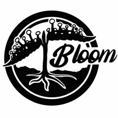 BLOOM SEED CO - STRAWBERRY BUBBLES STRAIN - FEM PHOTO - 12 PACK