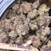 JINXPROOF GENETICS - HELL YEAH STRAIN - REG PHOTO - 12 PACK - Image 3